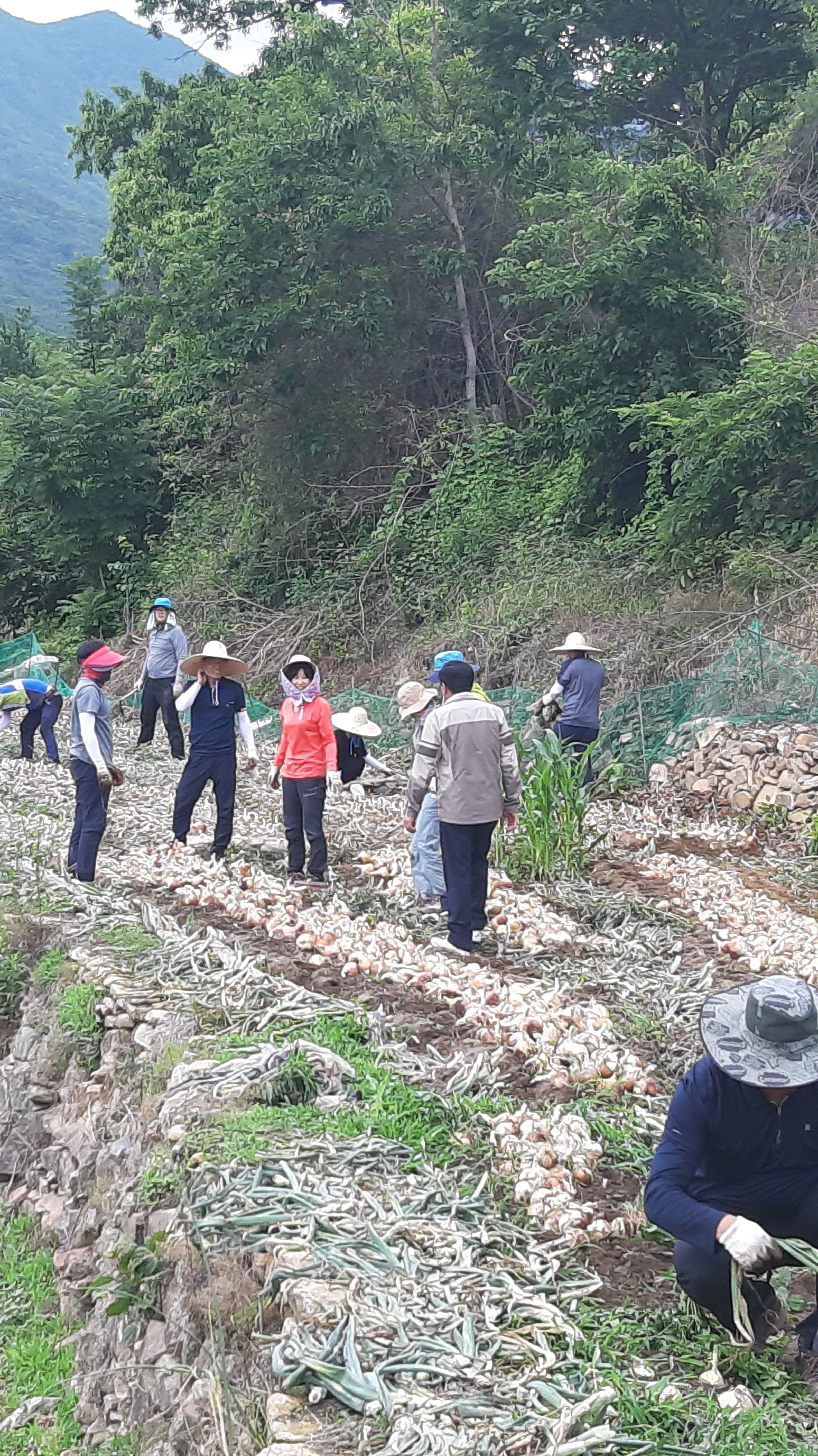 2019년 농촌일손돕기 직원격려 및 농가 방문