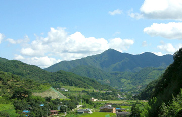 主山